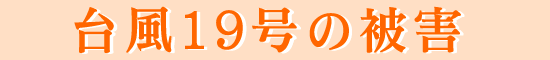 台風19号の被害 平成3年9月28日の早朝、津軽地域を襲った台風19号の記録です。